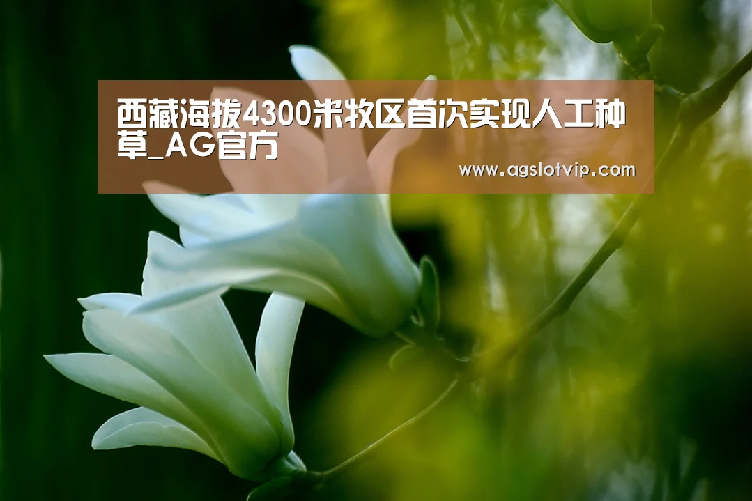 西藏海拔4300米牧区首次实现人工种草_AG官方(图1) AG旗舰厅